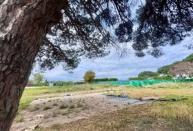 Jerez de la Frontera 20000&nbsp;m² 