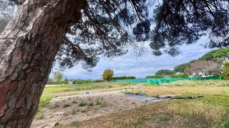 Cádiz - Jerez de la Frontera - 20000m2