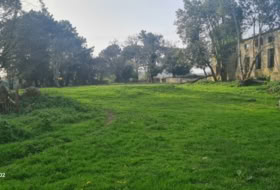Ferrol 4736&nbsp;м²