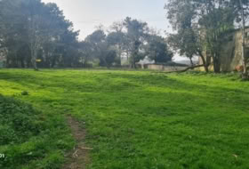 Ferrol 4736&nbsp;м²
