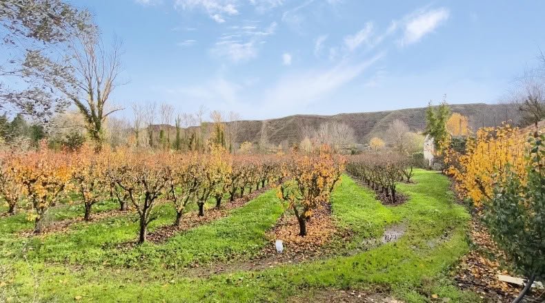 La Rioja - Albelda de Iregua - 1000m2