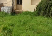 Casa de pueblo en venta en la Camiño da Lamela, A Rúa, ref: TR397171 foto