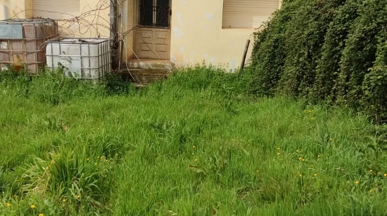 Orense - A Rúa - 543m2