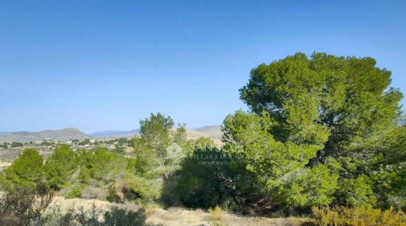 Alicante - Aspe - 3900m2