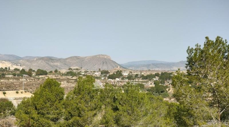 Alicante - Aspe - 3900m2