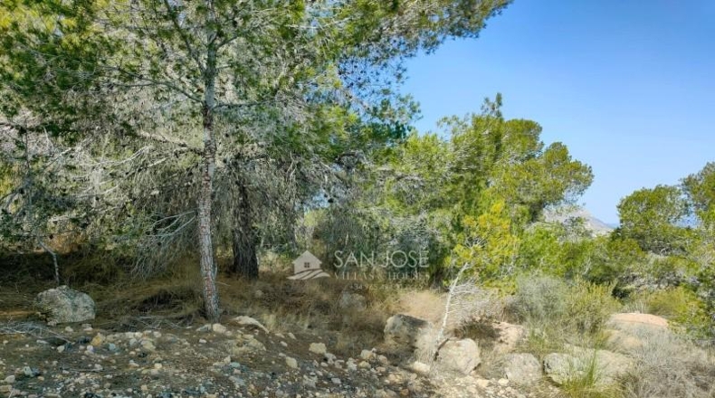 Alicante - Aspe - 3900m2