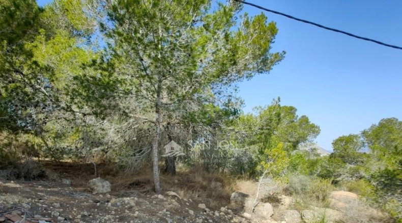 Alicante - Aspe - 3900m2