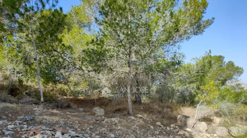 Alicante - Aspe - 3900m2