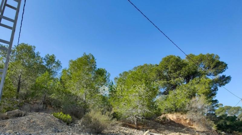 Alicante - Aspe - 3900m2