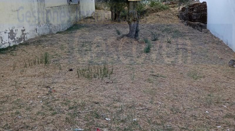 Caceres - Valencia de Alcántara - 300m2