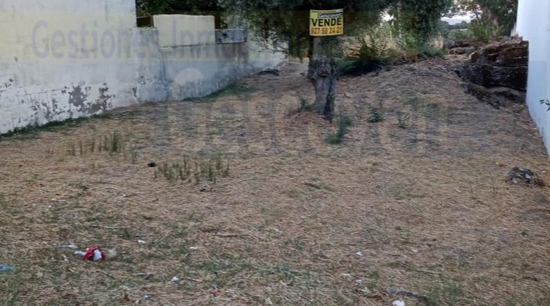Caceres - Valencia de Alcántara - 300m2