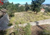Urban land for sale on España, Riudarenes, ref: TR401593 photo
