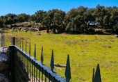 Casa de camp amb terreny en venda a la España, San Vicente de Alcántara, ref.: TR401621 foto