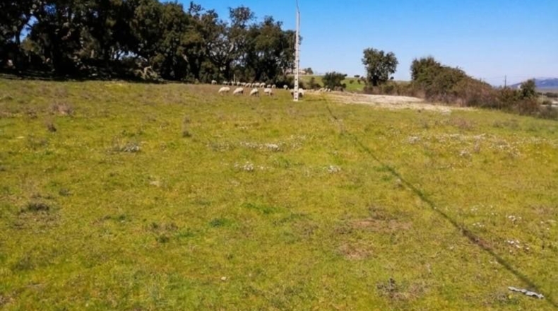 Badajoz - San Vicente de Alcántara - 30000m2