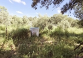 Xalet independent amb terreny en venda a la España, Añora, ref.: TR401627 foto
