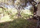 Xalet independent amb terreny en venda a la España, Añora, ref.: TR401627 foto