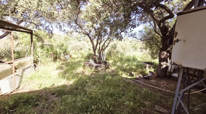 Córdoba - Pozoblanco - 60546m2