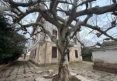 Chalet independiente con terreno en venta en la España, Peralta, ref: TR401654 foto