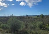Terreno no urbanizable en venta en la España, Sant Mateu, ref: TR401661 foto