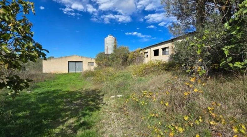 Castellón - Chert - 30000m2
