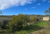 Terreno no urbanizable en venta en la España, Sant Mateu, ref: TR401661 foto