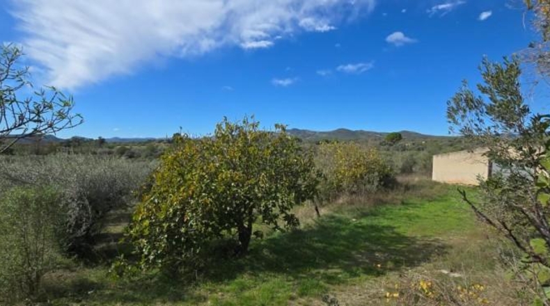 Castellón - Chert - 30000m2