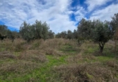 Terreno no urbanizable en venta en la España, Sant Mateu, ref: TR401661 foto
