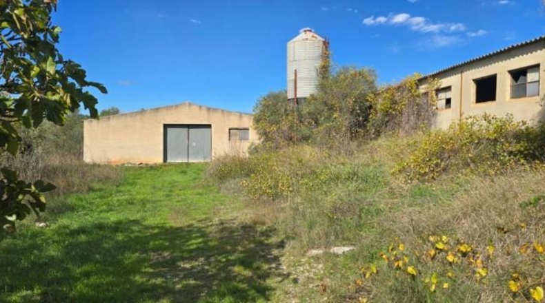 Castellón - Chert - 30000m2