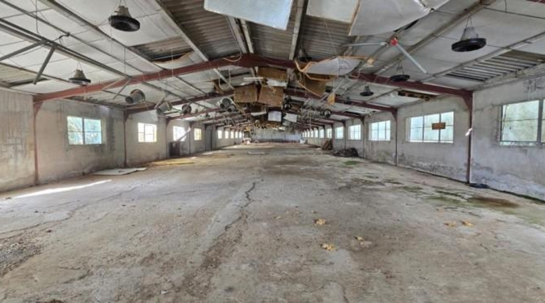 Castellón - Chert - 30000m2