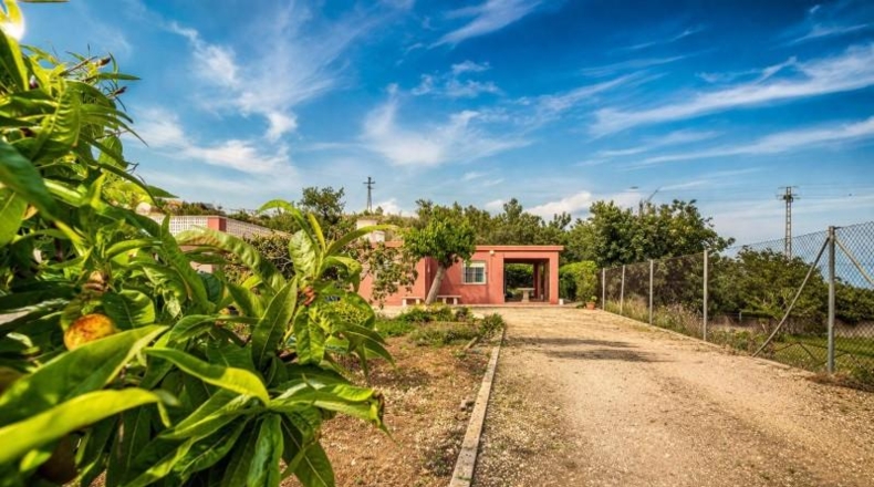 Valencia - Alginet - 1105m2