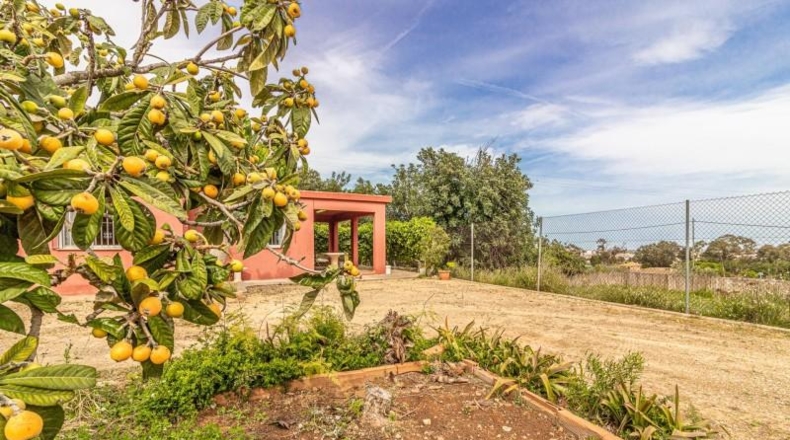 Valencia - Alginet - 1105m2