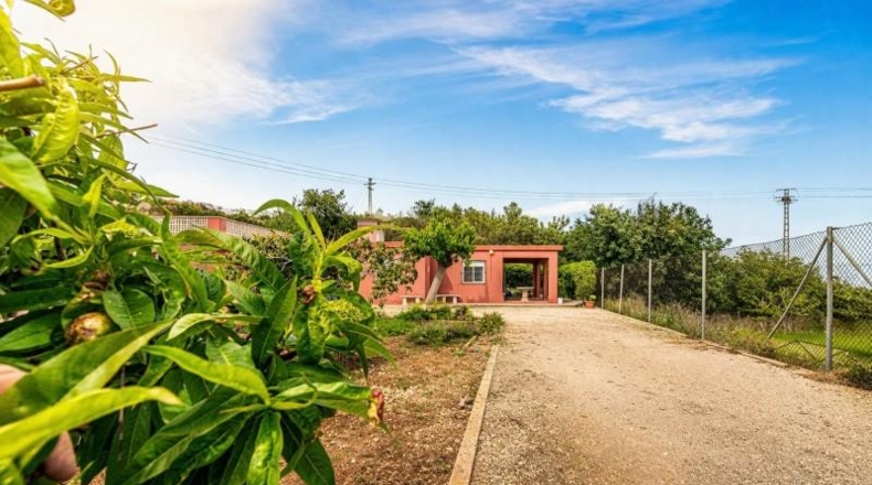 Valencia - Alginet - 1105m2