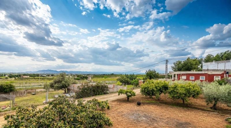 Valencia - Alginet - 1105m2