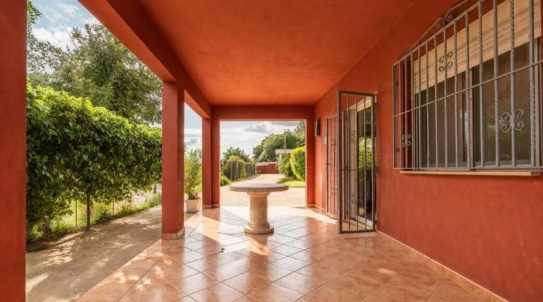 Valencia - Alginet - 1105m2