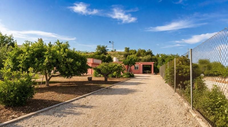 Valencia - Alginet - 1105m2