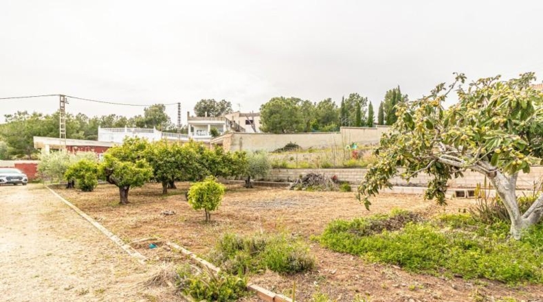 Valencia - Alginet - 1105m2