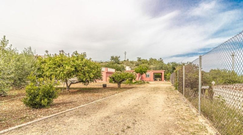 Valencia - Alginet - 1105m2
