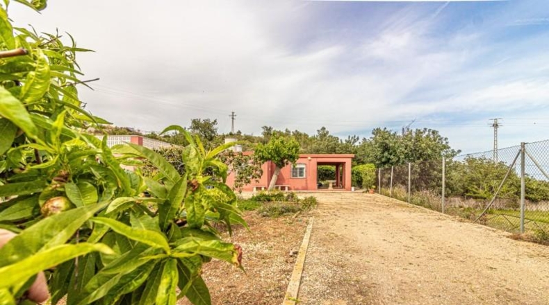 Valencia - Alginet - 1105m2