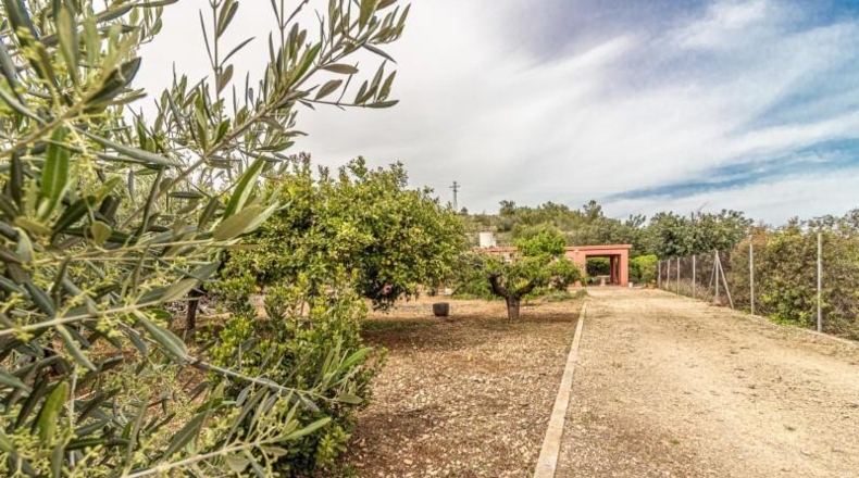 Valencia - Alginet - 1105m2