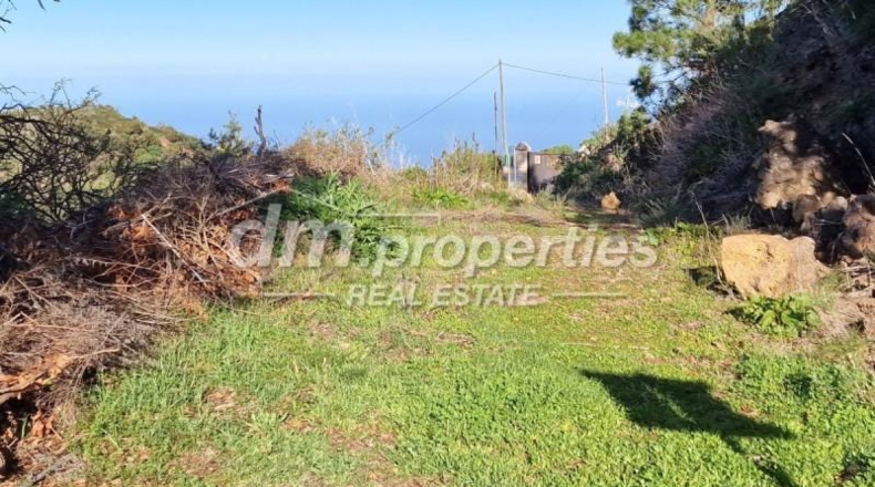 Santa Cruz de Tenerife - El Tanque - 1110m2