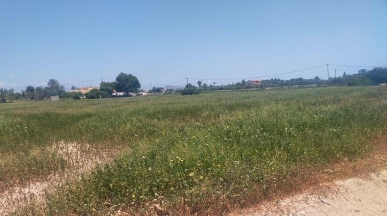 Alicante - Elche - 22749m2
