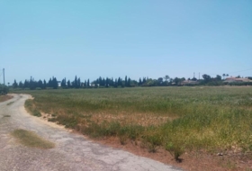 Elx 22749&nbsp;m² 