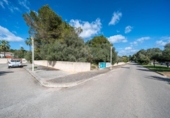 Land suitable for development for sale on España, Santa Margalida, ref: TR401710 photo