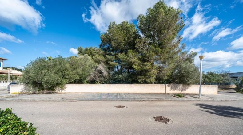 Illes Balears - Santa Margarita - 358m2