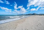 Land suitable for development for sale on España, Santa Margalida, ref: TR401710 photo
