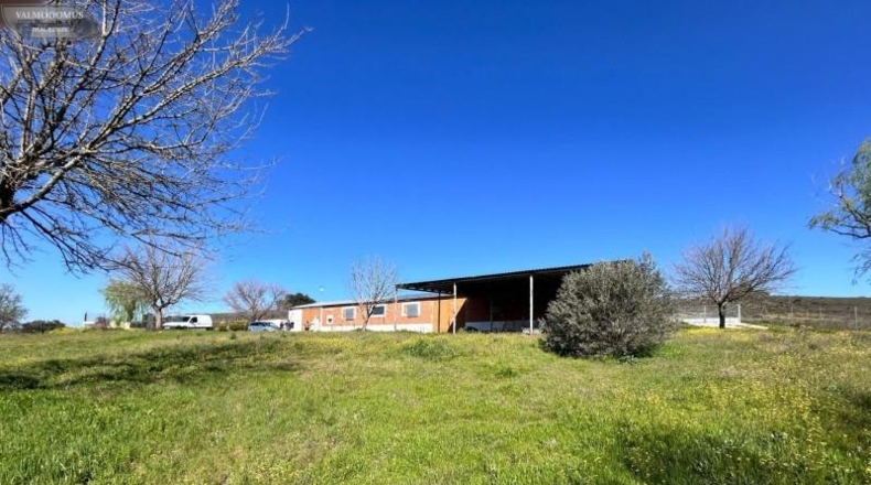 Toledo - Méntrida - 9825m2
