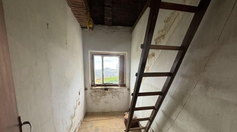 Asturias - Villaviciosa - 20487m2