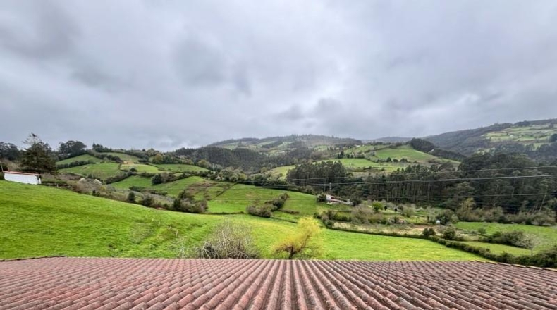 Asturias - Villaviciosa - 20487m2