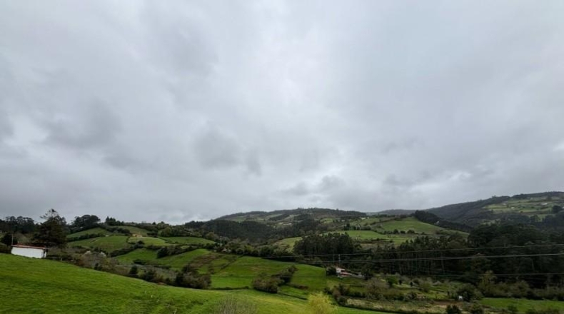 Asturias - Villaviciosa - 20487m2