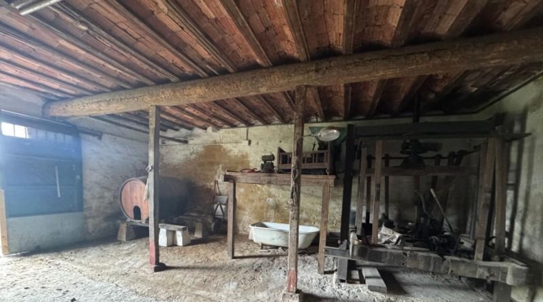 Asturias - Villaviciosa - 20487m2